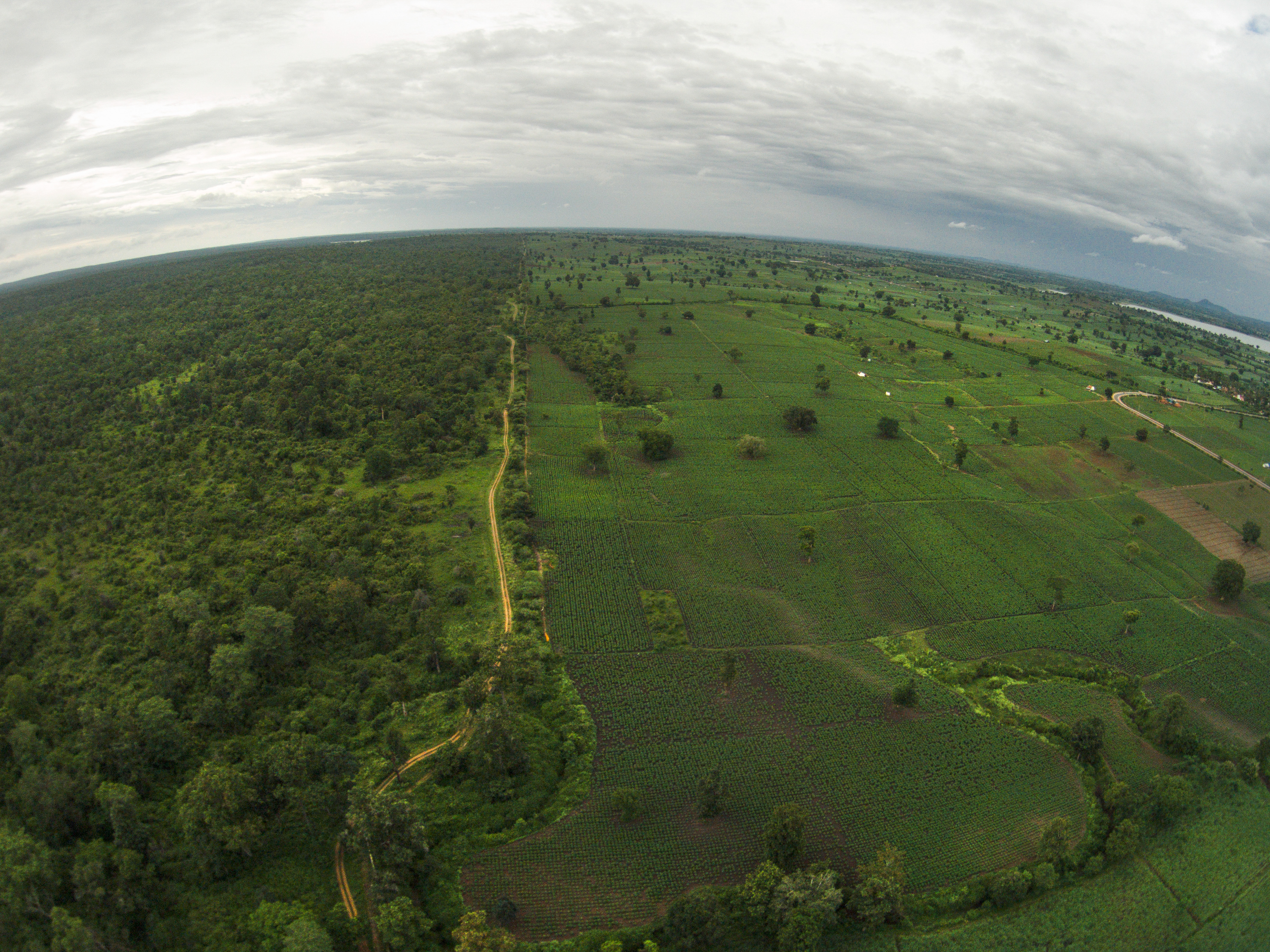 The thin boundary between forests and farmland