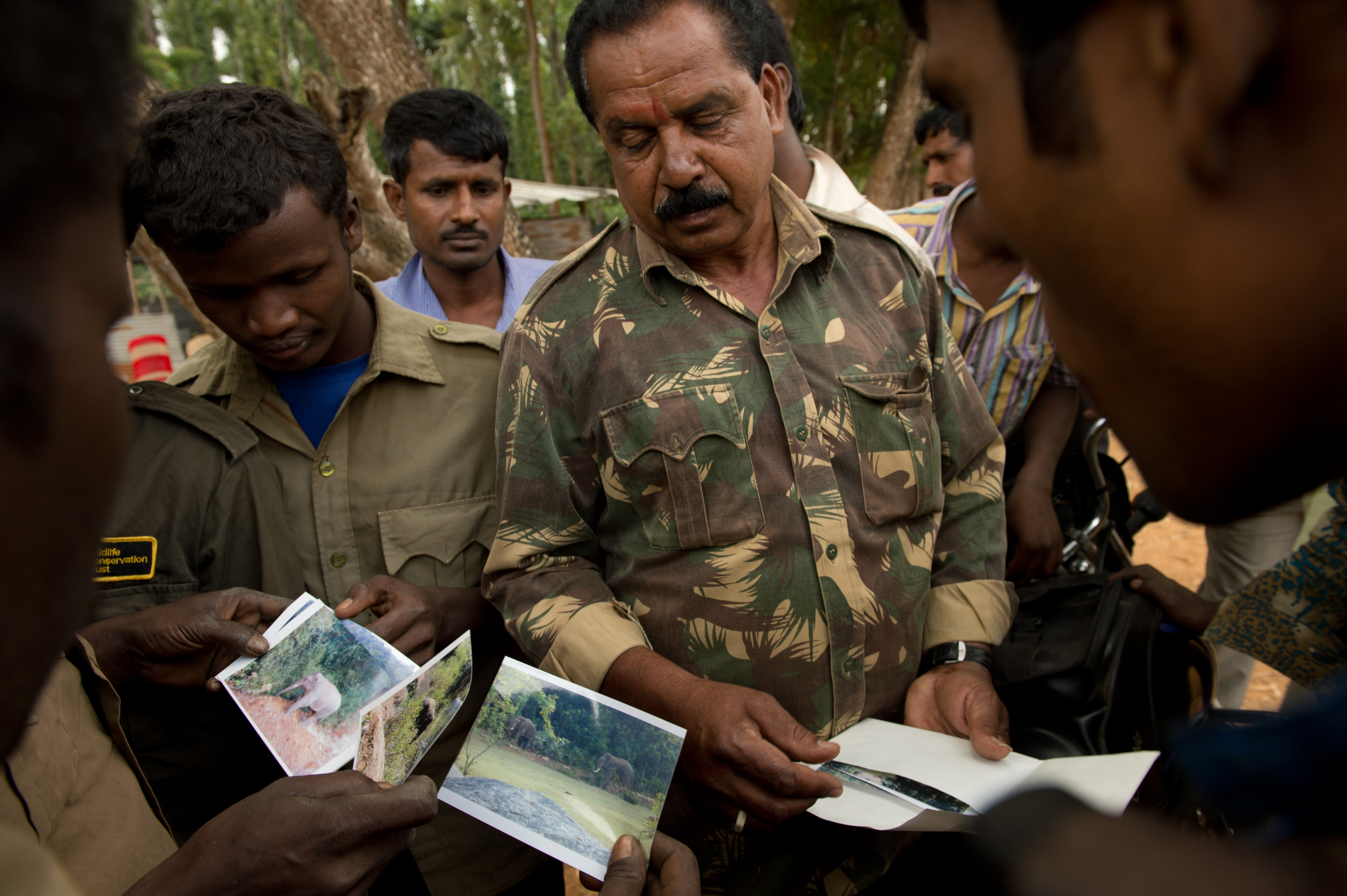 Trackers with photo album of Hassan elephants