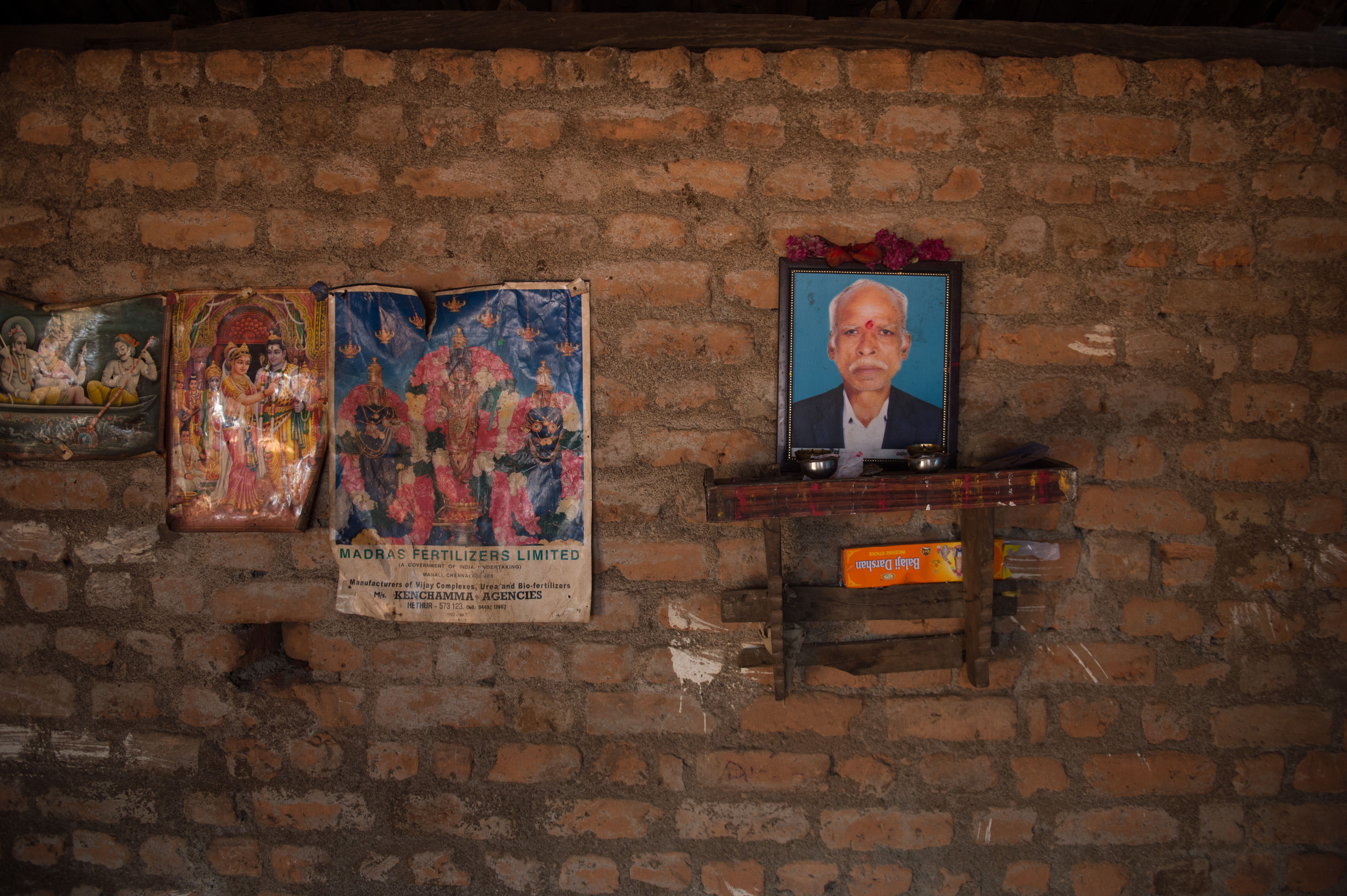 Sharada, who lost her husband and her land to elephant conflict