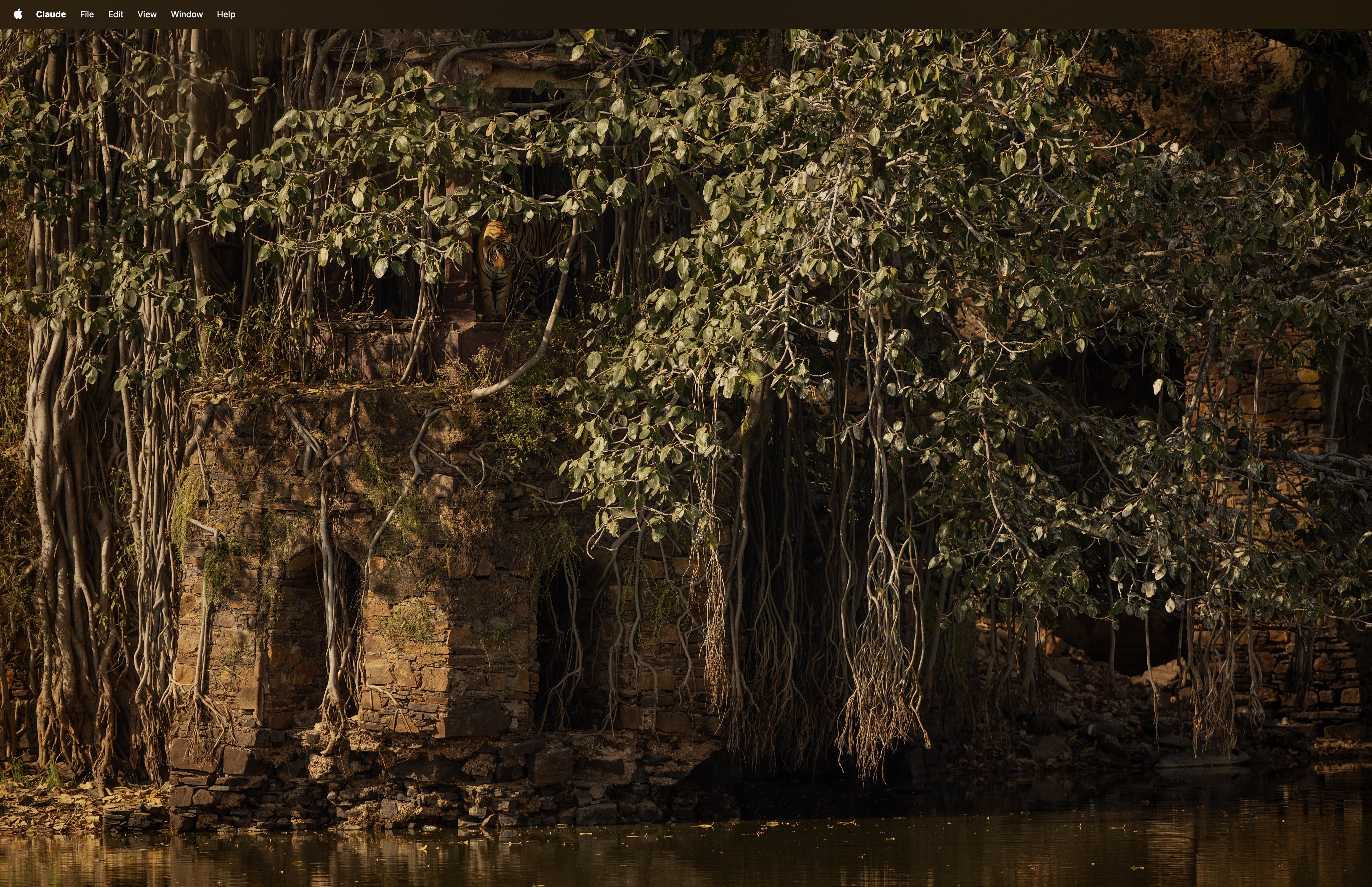 Kalyan Varma filming in the field
