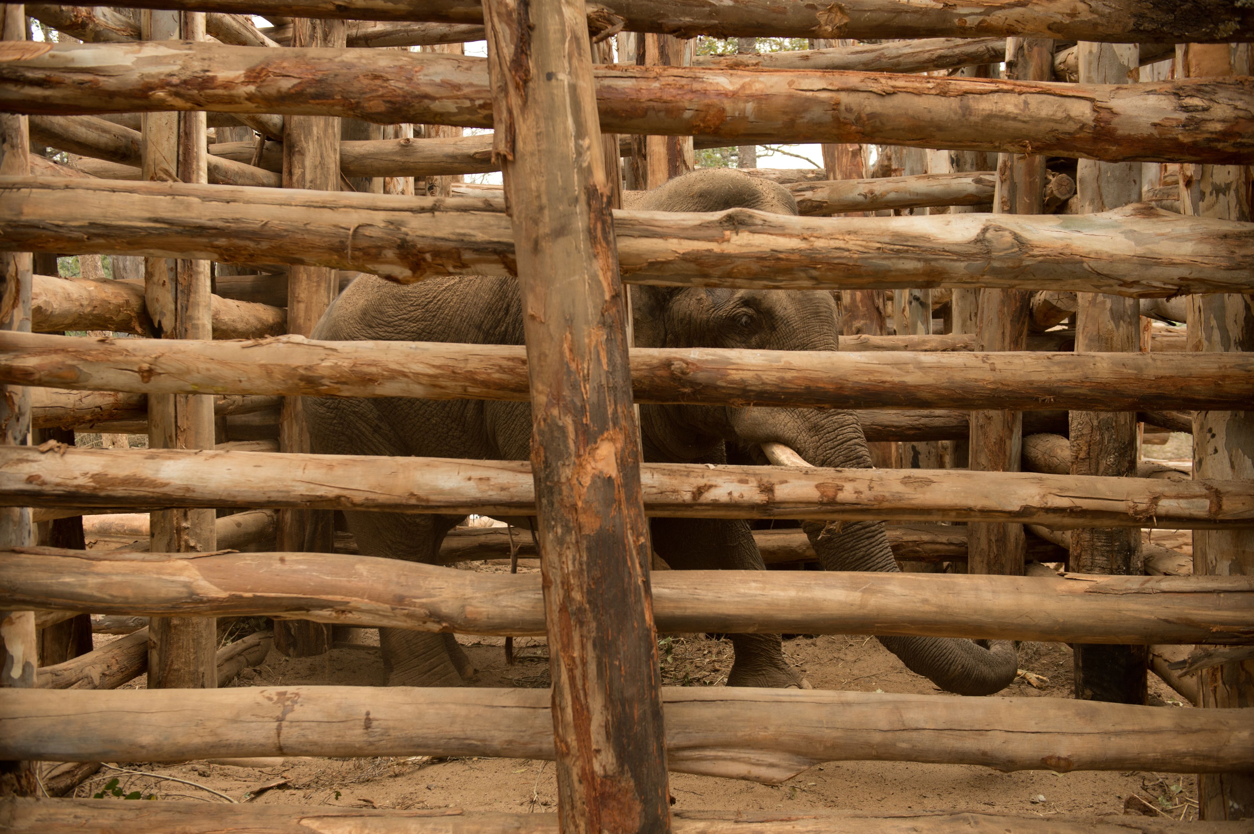 Empathy in a Time of War