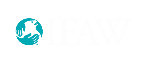 IFAW