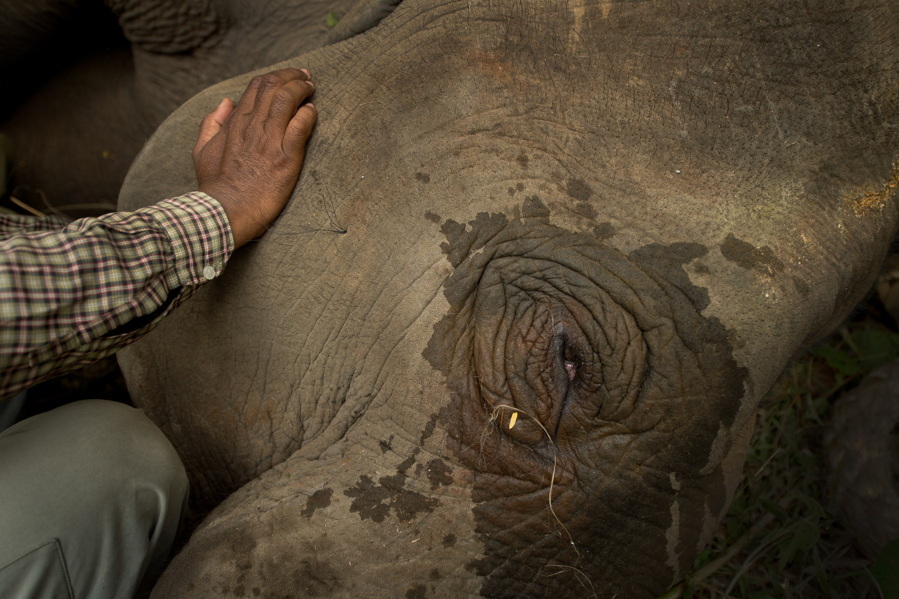 Nature without Borders