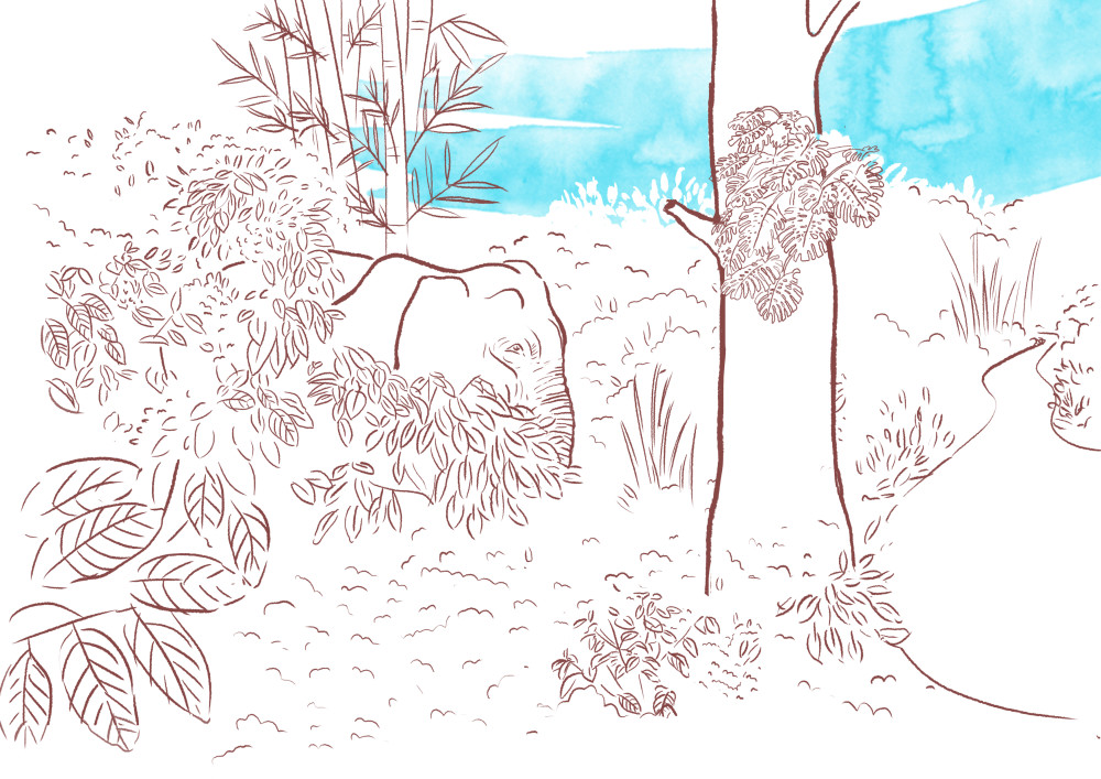 Elephant hidden among the tall bushes