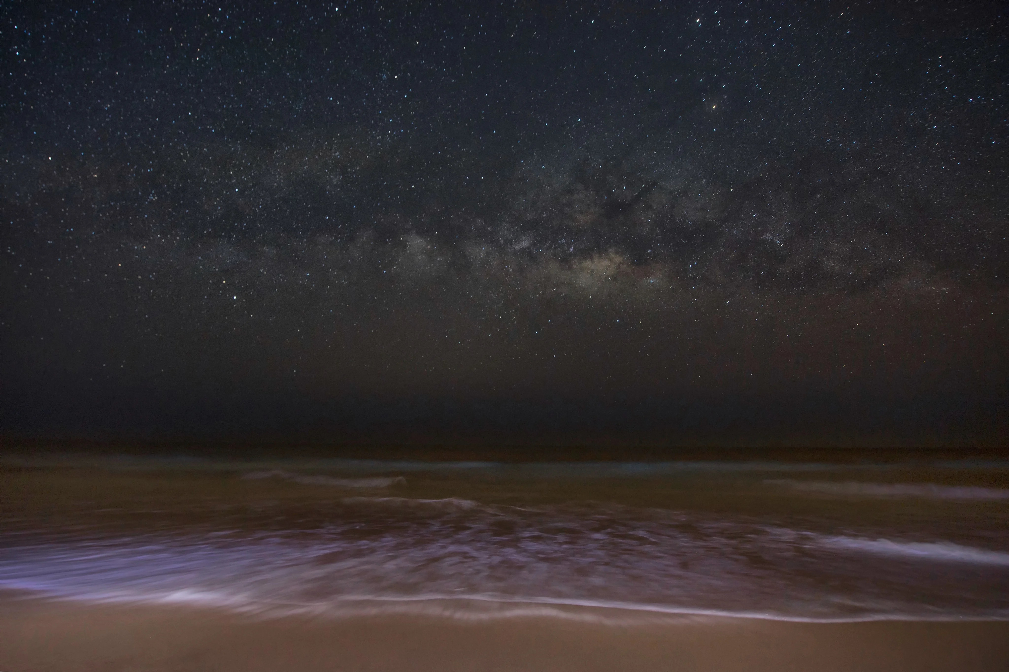 Olive Ridley turtles surfacing to breathe in the ocean off Rushikulya