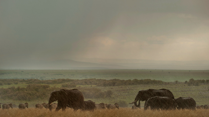 Rains in Masai mara