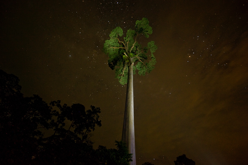 Lightpainting