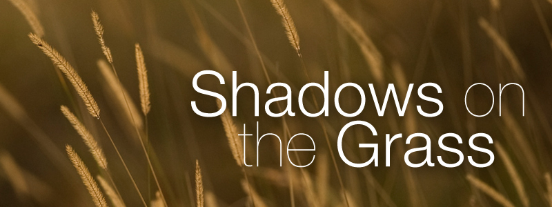 Photo-essay: Shadows on the Grass