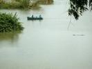 croc following boat