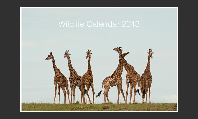 Wildlife Calendar 2013